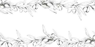 A refined pencil drawing clipart of a horizontally extended olive branch. Seamless border Perfect for use in product packaging, website headers, or as a decorative element in print and digital designs png