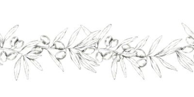 Pencil drawing clipart of a continuous olive branch arranged horizontally. Ideal for seamless border designs, website banners, or any creative project that requires a seamless, natural pattern png