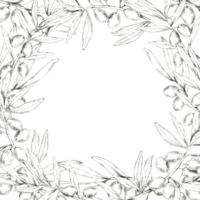 A detailed pencil drawing clipart of olive branches forming a square border. Perfect for use in creating frames, borders for invitations, packaging design, or merchandise with natural element png