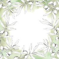 Square frame of olive branches with a soft green gradient background, highlighting olives and leaves. Pencil drawing clipart for packaging designs of olive oils, organic soaps, and natural cosmetics png