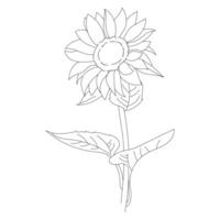 Line art sunflower summer simple line Hand drawn style illustration isolated on write background. vector