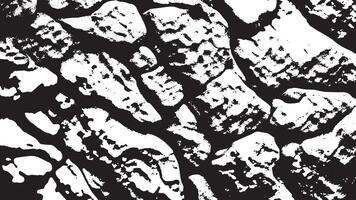 Weathered Black Overlay with White Canvas Background for 4K Visuals vector