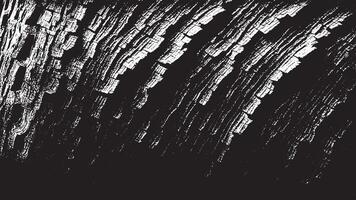 Sharp Black Texture on White Canvas Monochrome Background and Overlay vector