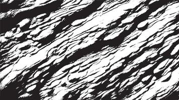 Faded Black Texture with Grunge Detailing on a Pristine White Backdrop vector