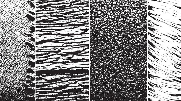 Gritty Black Overlay with White Background and Distressed Finish for High Definition