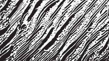 Intense Black Overlay on Pristine White Canvas Monochrome Texture and 4K Background vector