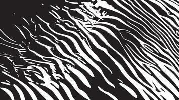 Grungy Black Distressed Pattern on a Pure White Background for HD Textures vector
