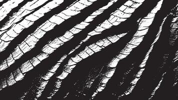 Aged Black and White Pattern for 4K Background and Overlays vector