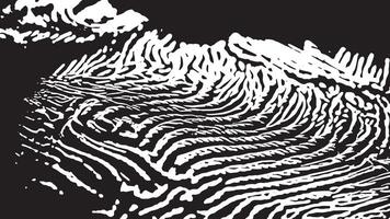 Torn Black Texture on a White Background for Grungy 4K Overlays vector