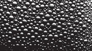 Deep Black Texture Overlaid on Crisp White Striking Monochrome Background in 4K vector