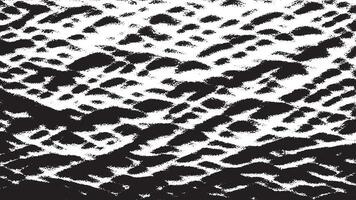 Textured Black Distress Overlay on a Pure White Surface for High-Resolution vector