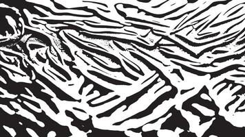 Rough Black Texture Overlay with White Background for Detailed 4K Design vector