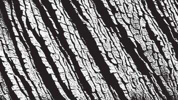 Monochrome Blackened Texture Overlay with Distressed Elements on White vector