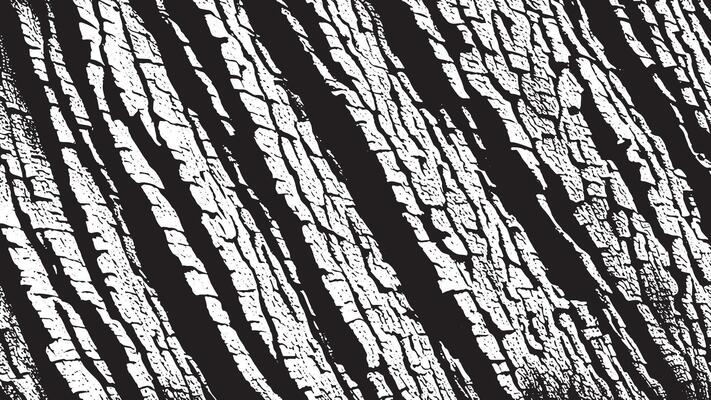 Monochrome Blackened Texture Overlay with Distressed Elements on White