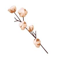 Minimalistic cotton branch illustration on white background, showing simplicity and elegance vector