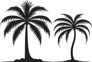 Palm tree silhouette vector