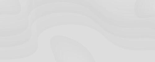 Abstract White Wave Background vector