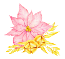 Pink poinsettia or Christmas star, golden bell, branch. Hand drawn watercolor clip art. New Year and Christmas design element. Cut out, isolated symbol of winter suitable for holiday prints, posters png