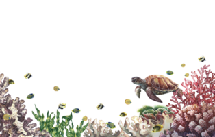 Underwater world. Watercolor hand drawn. For background for labels, business cards and banners png