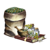 Medicinal herbs. Rustic still life with medicinal herbs. A wooden mortar and glass vials in an old recipe book and a linen bag. Hand-made watercolor illustration. A separate composition. For a banner. png