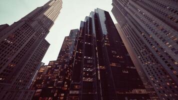 Urban Giants, Majestic Skyscrapers Ascending Above the Bustling Metropolis video