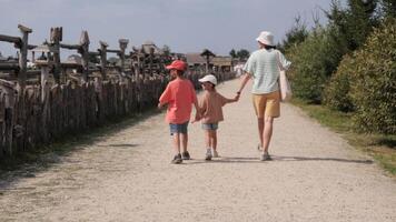 Family enjoying a sunny stroll while walking away on a gravel path video
