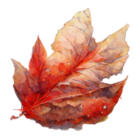 Vivid Red Autumn Leaf in Watercolor A delicate and transparent backdrop accentuates the intricate details of a crimson autumn leaf, capturing the essence of the season. png