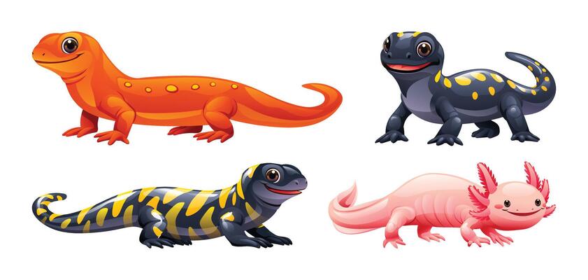 Set of salamander cartoon illustration. Reptile isolated on white background