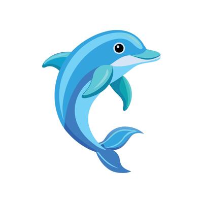 dolphin art and illustration character design