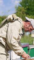 Industrious beekeeper bent over the hive holding a tool. Specialist takes two heavy frames from a hive. Sunny day backdrop. Vertical video