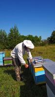 Beekeeper inspects bees. Apiarist on a bee farm on industrial pipes background. Wooden hives on green grass. Vertical video