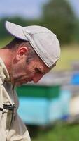 Focused apiculturist working in his bee farm. Beekeeper checking up the frame covered with worker bees. Blurred background. Vertical video