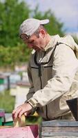 Erwachsene männlich Imker zieht ein leeren Halbbild aus von ein Bienenstock. Mann lächelt zufriedenstellend und nimmt Ein weiterer Rahmen mit Bienen zu Platz es im das Bienenstock. Vertikale video