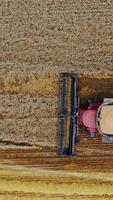 Aerial view on the combine working on the large wheat field. Harvesting machine working in the field Vertical video