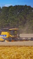 Grain harvesting combine in a sunny day. Yellow field with grain. Agricultural technique works in field. Vertical video