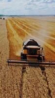 Combine harvester in action on wheat field. Process of gathering a ripe crop from the fields. Aerial view Vertical video