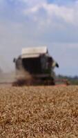 Combine harvester in action on the field. Combine harvester. Harvesting machine for harvesting a wheat field. Vertical video