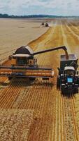 Harvesting grain field, crop season. Combine harvester in action on the field. Aerial view Vertical video