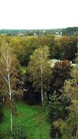 Drone shot aerial view of autumn trees in the park. Beautiful landscape of natural background at day. Aerial view. Camera moves right. Vertical video