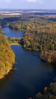 Smooth surface of the narrow river running through colorful woods. Huge territory overgrown with trees shot from drone. Vertical video