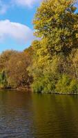 Yellow and green trees growing on the waterfront. Colorful forest and blue sky reflecting in the river on sunny autumn day. Vertical video