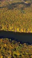 Beautiful view of the river flowing between the thick forest area. Bright diverse colors of leaves in the trees on sunny autumn day. Top view. Vertical video