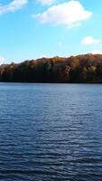 dunkel Fluss mit Uferpromenaden bewachsen mit dick Wald. mehrfarbig Blätter auf das Bäume leuchtenden im das Sonne auf Herbst Tag. Vertikale video