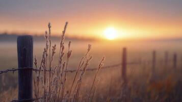 Sunrise over tranquil meadow with barbed wire and grass in soft morning light photo