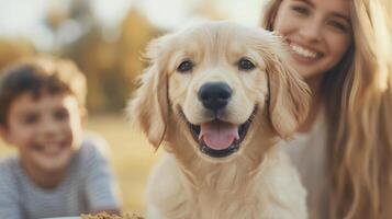 Happy golden retriever puppy plays with children in a sunlit park photo