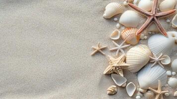 Colorful seashells and starfish arranged on a light blue background for beach decor photo
