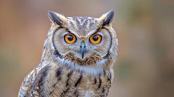 Majestic owl perched on a branch in forest during autumn afternoon photo
