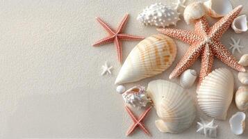 Colorful seashells and starfish arranged on a light blue background for beach decor photo