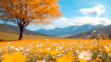 Bright yellow flowers fill a field under a clear blue sky with a lone tree in the background photo