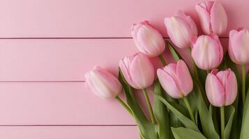 Pink tulips arranged elegantly against a soft pink brick wall photo
